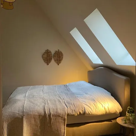 B&B The Pine House *